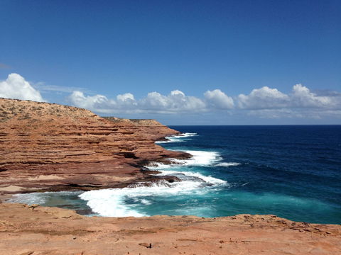 Pelican's Nest - Great Ocean Road Tourism 2