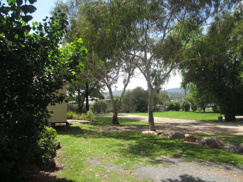 Tenterfield Lodge Caravan Park - Great Ocean Road Tourism 1