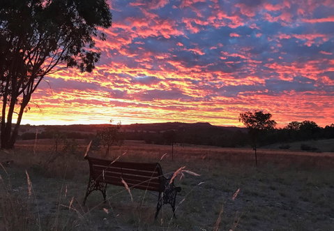 The Woolshed Cabins - Great Ocean Road Tourism 7