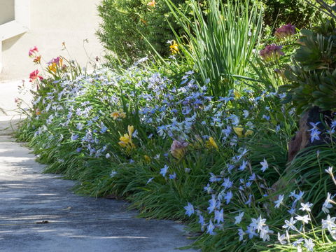 Austin Rise B&B - Great Ocean Road Tourism 2