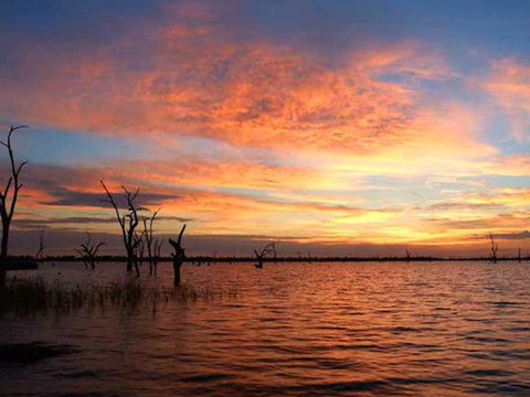 BIG4 NRMA Yarrawonga Mulwala Holiday Park - Great Ocean Road Tourism 0