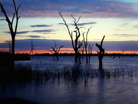 BIG4 NRMA Yarrawonga Mulwala Holiday Park - Great Ocean Road Tourism 9