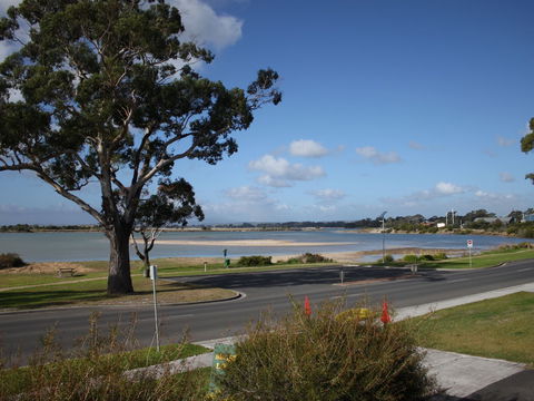 Bridport Seaside Lodge - Great Ocean Road Tourism 5
