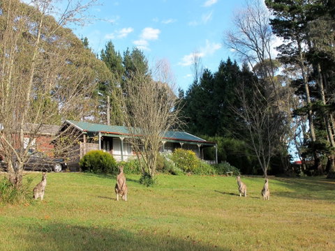 Cedar Lodge Cabins - Great Ocean Road Tourism 0