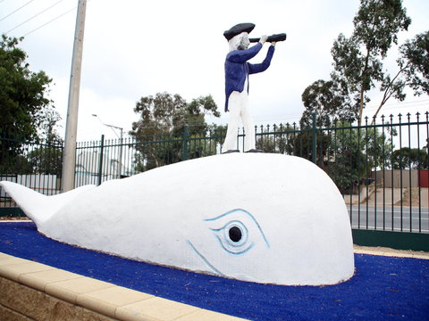 Explorers - Great Ocean Road Tourism 1