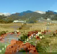 Farringdon Homestead