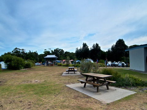 Freemans Campground - Great Ocean Road Tourism 2