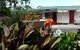 Glenrowan Kelly Country Motel - thumb 5