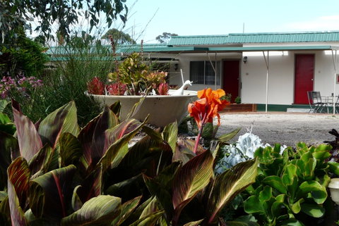 Glenrowan Kelly Country Motel - Great Ocean Road Tourism 5