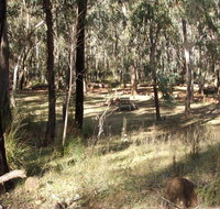 Greenbah campground - Great Ocean Road Tourism