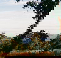 Hilltop Barn at Swan Bay - Great Ocean Road Tourism