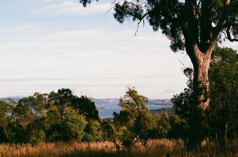Hilltop Barn At Swan Bay - Great Ocean Road Tourism 0