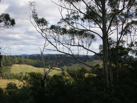 Hilltop Barn At Swan Bay - Great Ocean Road Tourism 1