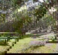 Illaroo group camping area - Great Ocean Road Tourism