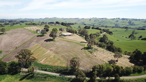 Kardella Country Homestead - Great Ocean Road Tourism 0
