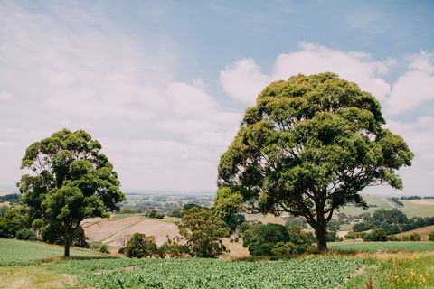 Kardella Country Homestead - Great Ocean Road Tourism 9