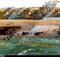Lone Pine Homestead - Great Ocean Road Tourism