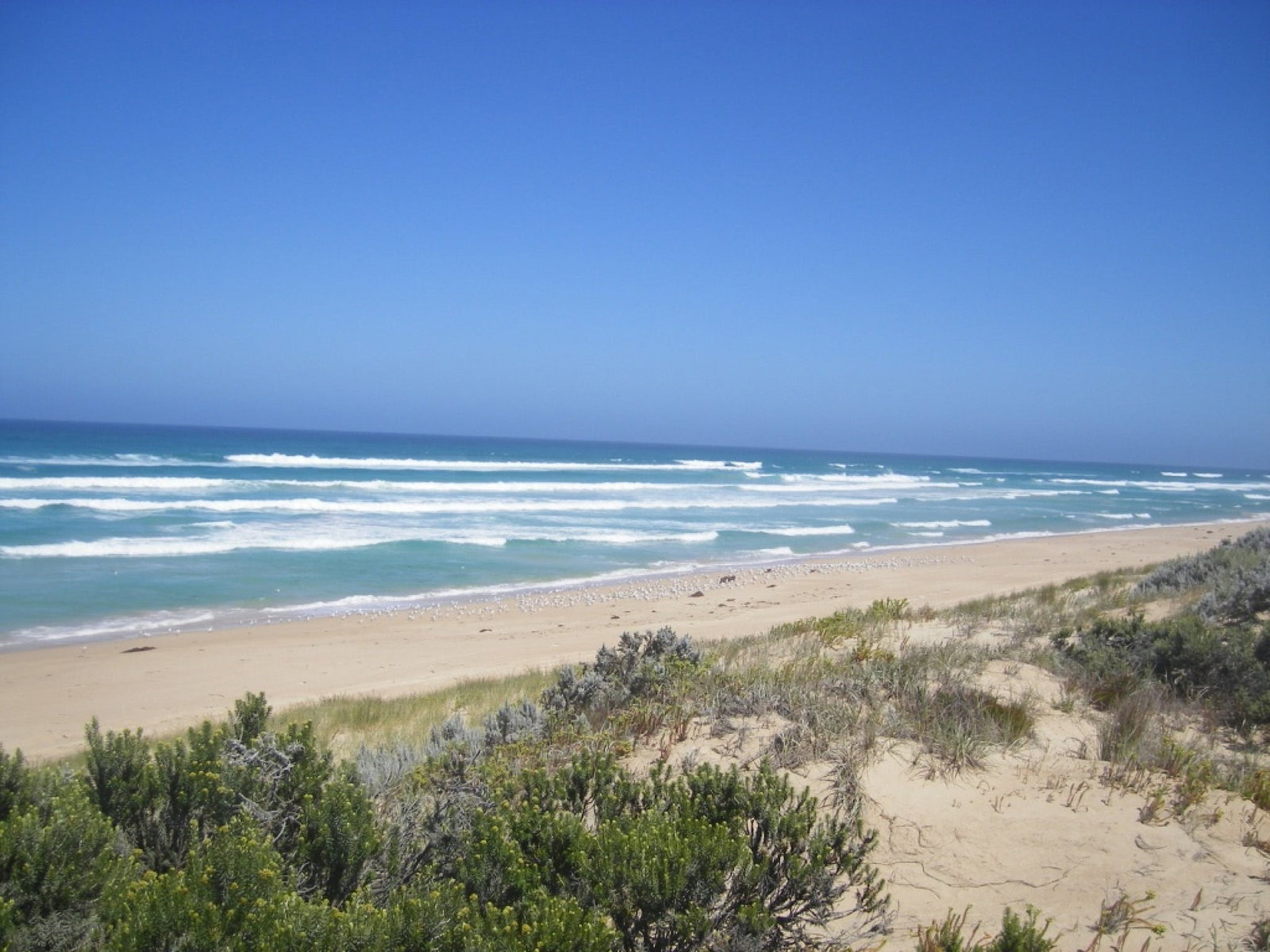 Canunda SA Great Ocean Road Tourism