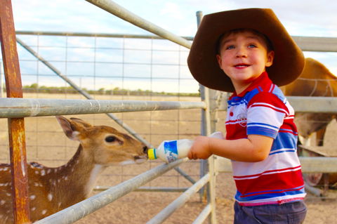 Shandonvale Station - Great Ocean Road Tourism 5