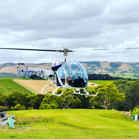 The Vineyard Retreat McLaren Vale - Great Ocean Road Tourism 6