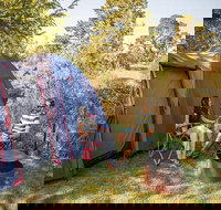 Village campground - Great Ocean Road Tourism