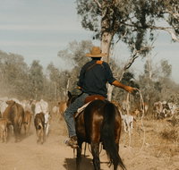 Bullo River Station - Great Ocean Road Tourism