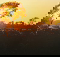 Clandulla Cottages  Farmstay - Great Ocean Road Tourism