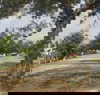 Country Acres Caravan Park - Great Ocean Road Tourism