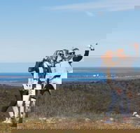 Cowell RV Park - Great Ocean Road Tourism