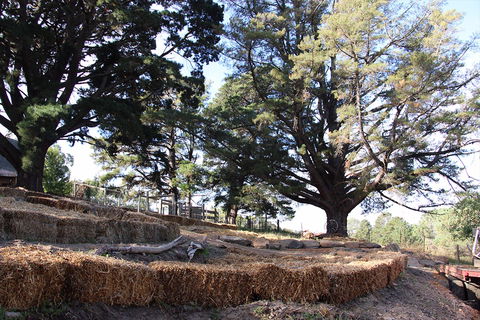 Longwood Retreat - Great Ocean Road Tourism 0