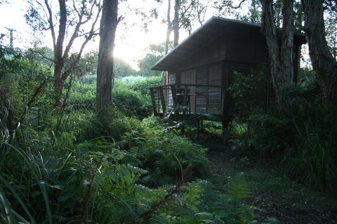 Melaleuca Surfside Backpackers - Great Ocean Road Tourism 1