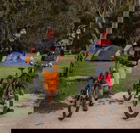 Ngarigo campground - Great Ocean Road Tourism