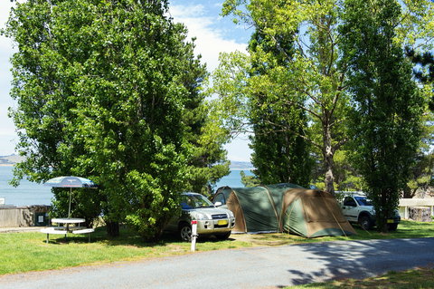 Rainbow Pines Tourist Caravan Park - Great Ocean Road Tourism 1