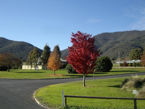 Talbingo Country Club - Great Ocean Road Tourism 1