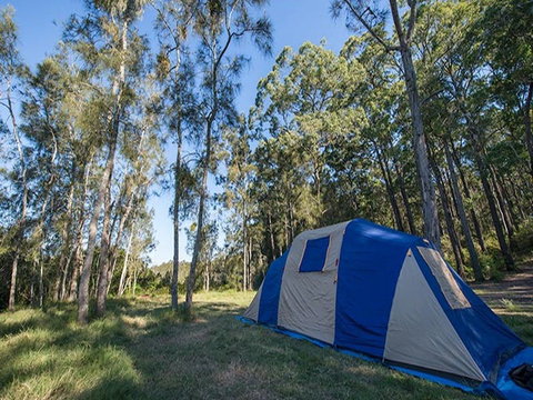 Tattersalls Campground - Great Ocean Road Tourism 1