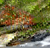 The Mouses House - Rainforest Retreat - Great Ocean Road Tourism