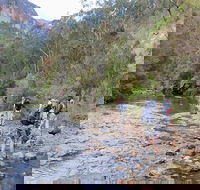 Acacia Flat campground - Great Ocean Road Tourism
