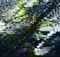 Aldgate Valley Bed and Breakfast