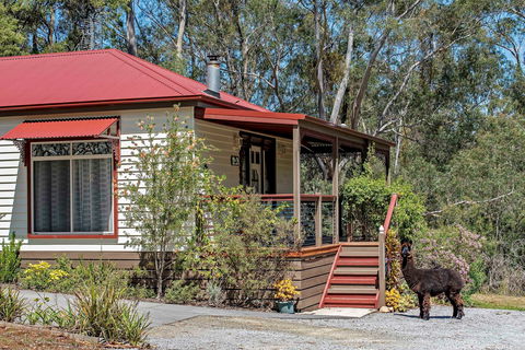 Araluen Park Cottages - Great Ocean Road Tourism 0