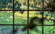 Australia Suite - thumb 1