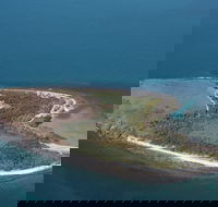 Camp Island Lodge - Great Ocean Road Tourism