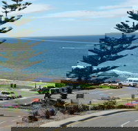 Dolphins 8 - Great Ocean Road Tourism