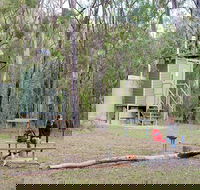 Ten Mile Hollow campground - Great Ocean Road Tourism