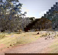 The Pines campground - Great Ocean Road Tourism