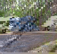 Wollomombi campground - Great Ocean Road Tourism