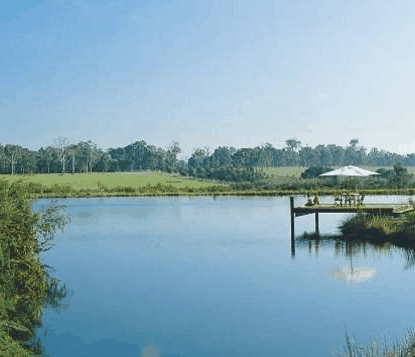 Forest Rise Eco Retreat