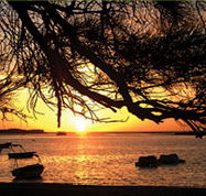 Pelican's Nest - Great Ocean Road Tourism