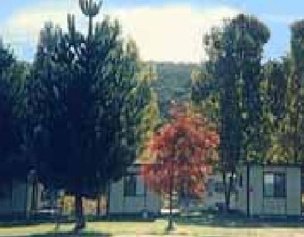 Anglers Reach Caravan Park - Great Ocean Road Tourism 0