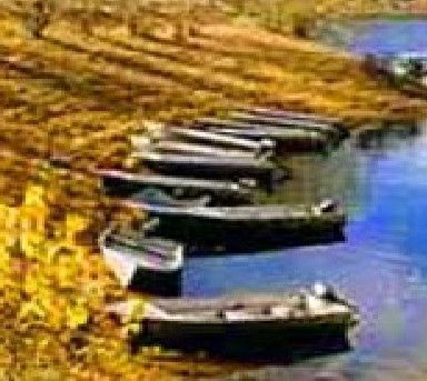 Anglers Reach Caravan Park - Great Ocean Road Tourism 2