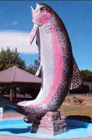 Anglers Reach Caravan Park - Great Ocean Road Tourism 3